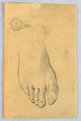 Studio del piede destro
