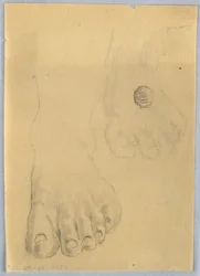 Studio di un piede sinistro