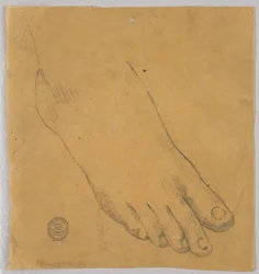 Studio di un piede destro
