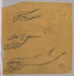 Tre studi di una mano e un braccio