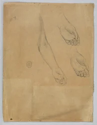 Tre studi di una mano sinistra