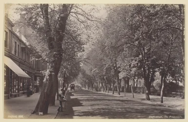 Cheltenham, il Viale