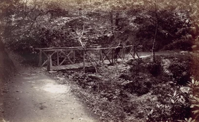 Colwyn Bay. Ponte rustico nel bosco, 1870s