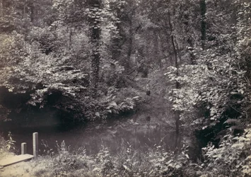 Colwyn Bay. La piscina nel bosco