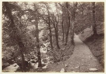 Dolgelley, veduta in Torrent Walk