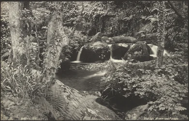 Glen Lyn, ruscello e fogliame