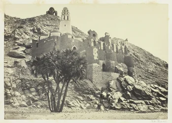 Palma Doum e Moschea in Rovina, Filè