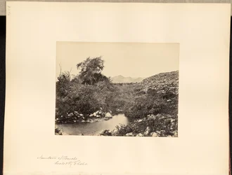 Fontana di Gerico, guarita da Elisha