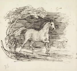 Un cavallo grigio che trotta fuori da un bosco