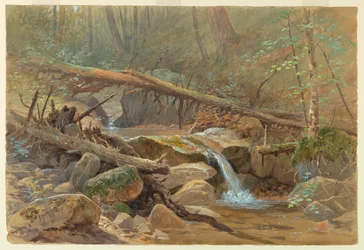 Pozza nel bosco