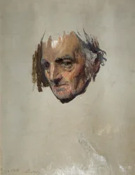 Testa di un vecchio