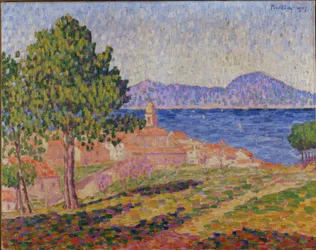 Vista su Saint-Tropez dalla Zita delle