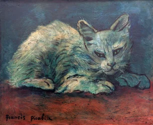 Il gatto