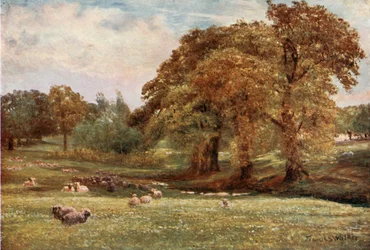 La valle della salute