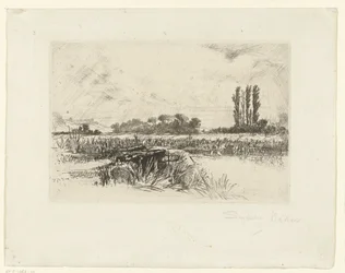 Prato acquatico