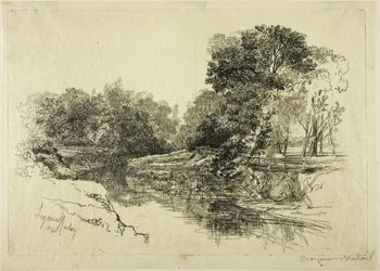 Un fiume in Irlanda
