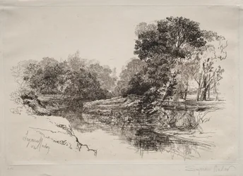 Un fiume in Irlanda