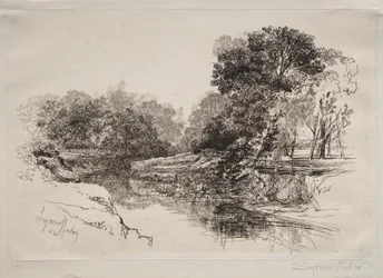 Un Fiume in Irlanda, 1864