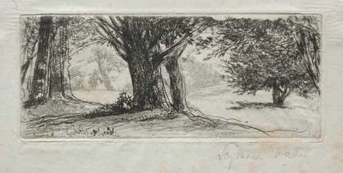 Campo di Agrifoglio