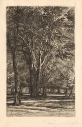 Giardini di Kensington, n. 2 (Grande lastra)