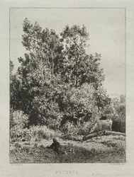 Paesaggio
