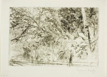 Foce di un ruscello, n. II