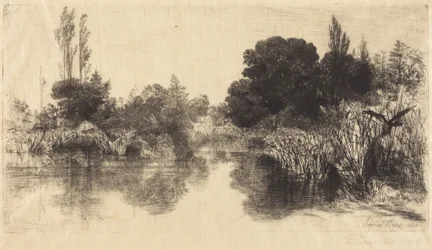 Lo stagno di Shere Mill (la tavola più grande)