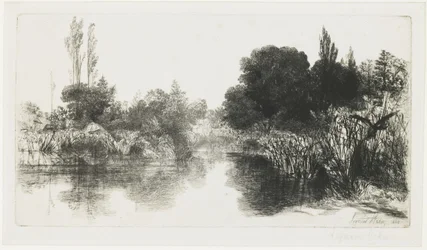 Shere Mill Pond (La lastra più grande), 1860