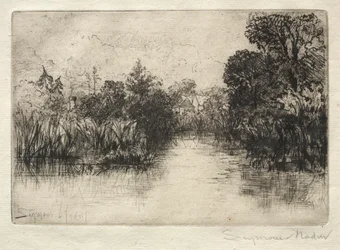Stagno di Shere Mill, un piccolo studio
