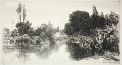 Shere Mill Pond La lastra più grande