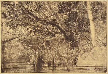 La Bocca di un Ruscello No.1