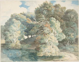 Alberi presso il lago, Peamore Park, vicino a Exeter, Devon