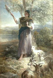 Un capraio spagnolo