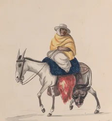 Un macellaio a cavallo di un asino, da un gruppo di disegni che raffigurano costumi peruviani