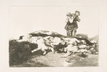 Tavola 18 da I disastri della guerra Los Desastres de la Guerra: Seppelliteli e state zitti..., 1810