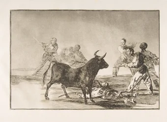 Tavola 12 dalla Tauromachia: La folla taglia i tendini del toro con lance, falcetti, bande..., 1816