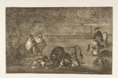 Tavola C: I cani liberati sul toro, ca. 1816