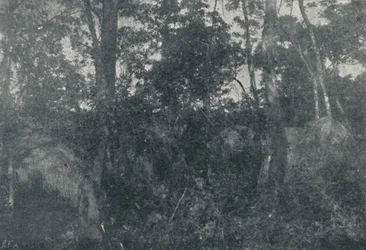 Capanne di indios, 1895
