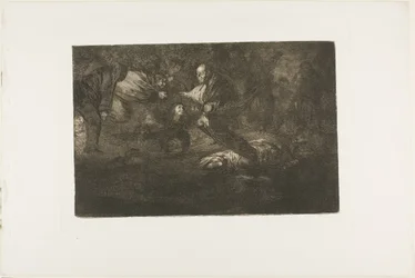 Dio li crea e loro si uniscono, tavola 18 da Los Proverbios