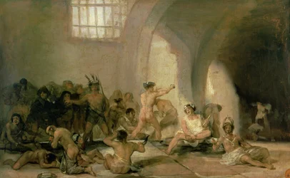Il manicomio