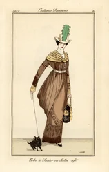 Donna in abito panier in raso color caffè con cane da compagnia, incisione dal Journal des Dames et des Modes di Tommaso Antongini, Aux Bureaux du Journal des Dames, Parigi