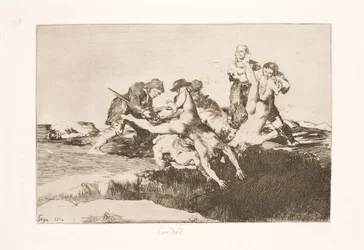 Misericordia (27)