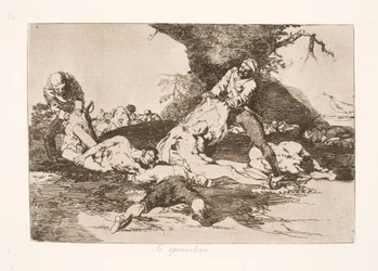 Si equipaggiano (16)