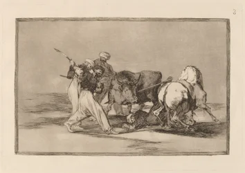 I mori stabilitisi in Spagna, abbandonando le superstizioni del loro Corano, adottarono questa caccia e arte e trafiggono un toro con le lance nella campagna