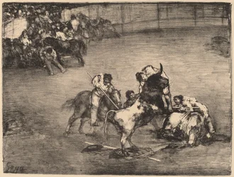 Picador catturato da un toro