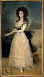 Ritratto intero di Dona Tadea Arias de Enriquez