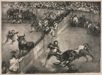 I tori di Bordeaux: Corrida in un