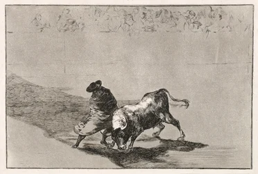 Lo studente intelligente di Falces infuria il toro muovendosi avvolto nel suo mantello, 1814-16