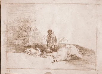 I disastri della guerra: Nessuno lo aiuta (disegno preparatorio)
