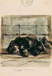 Svegliati, innocente